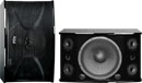 CS-812 G3 Professional 600 Watts Karaoke Vocal Speakers 